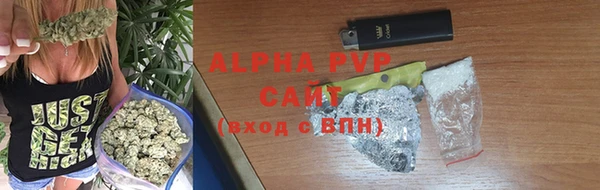 сатива Белокуриха