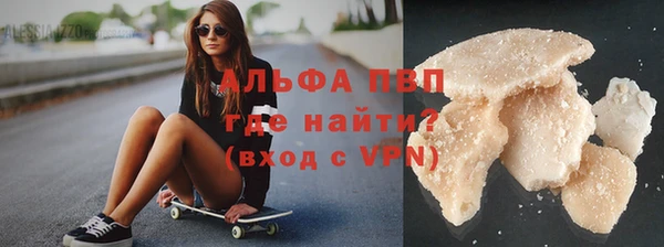 сатива Белокуриха