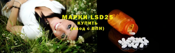 сатива Белокуриха