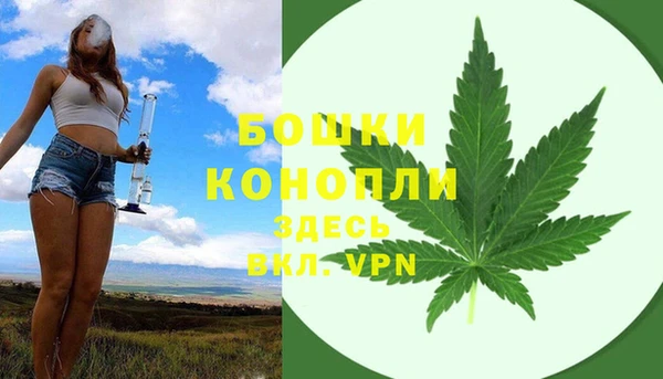 сатива Белокуриха