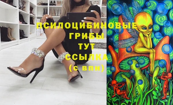 сатива Белокуриха